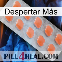 Despertar Más 26